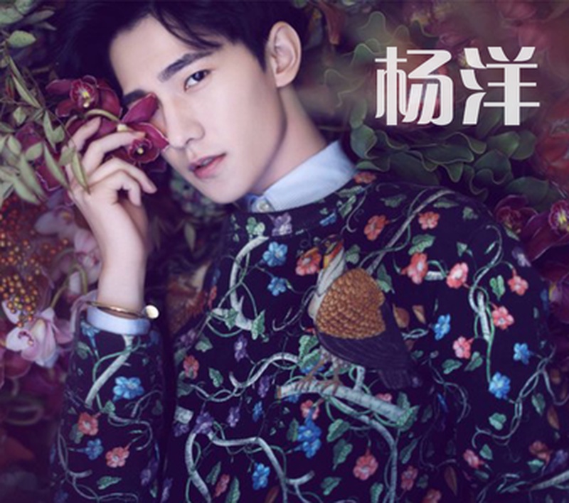 杨洋